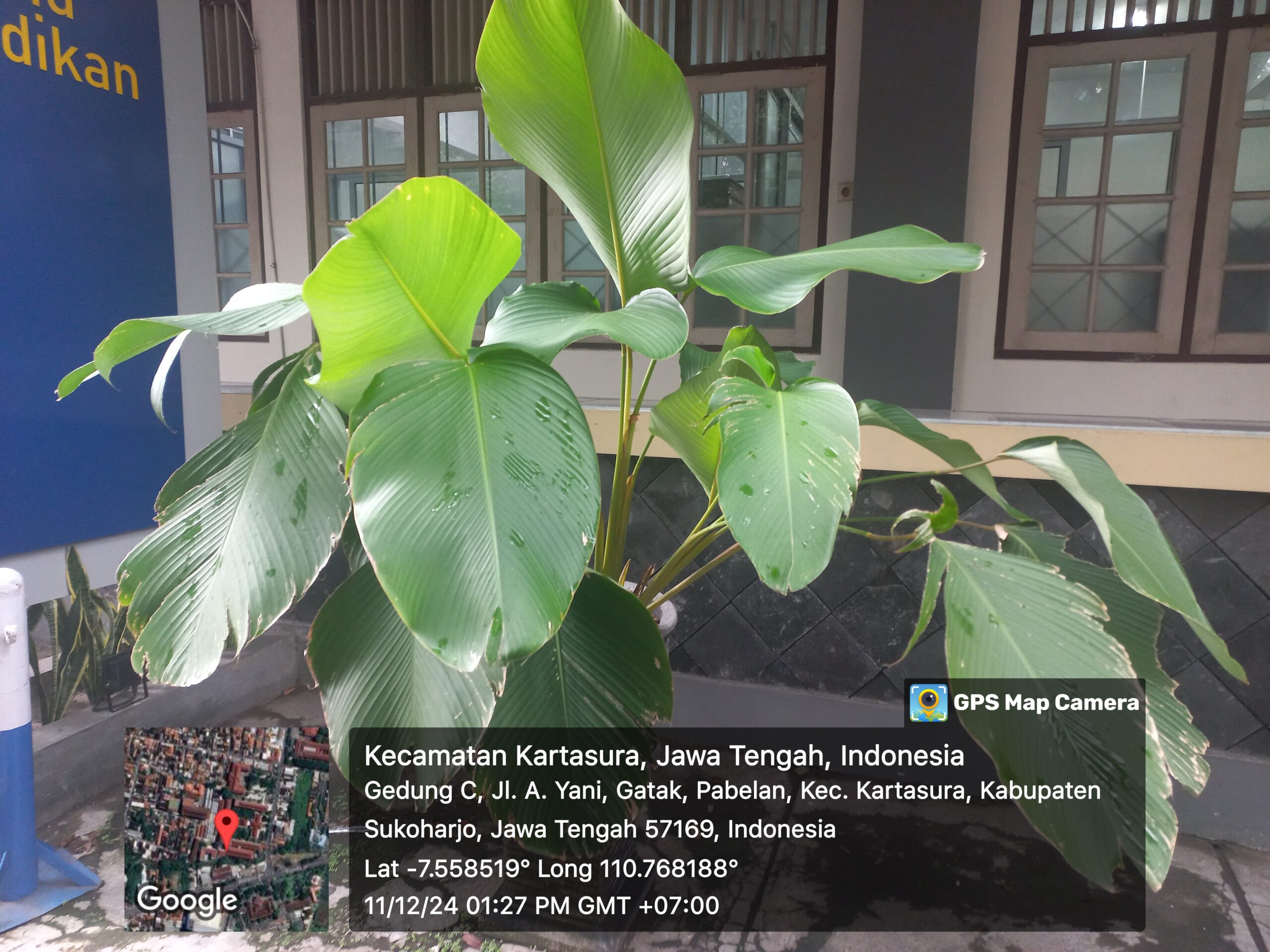 lokasi : Kampus 1 UMS